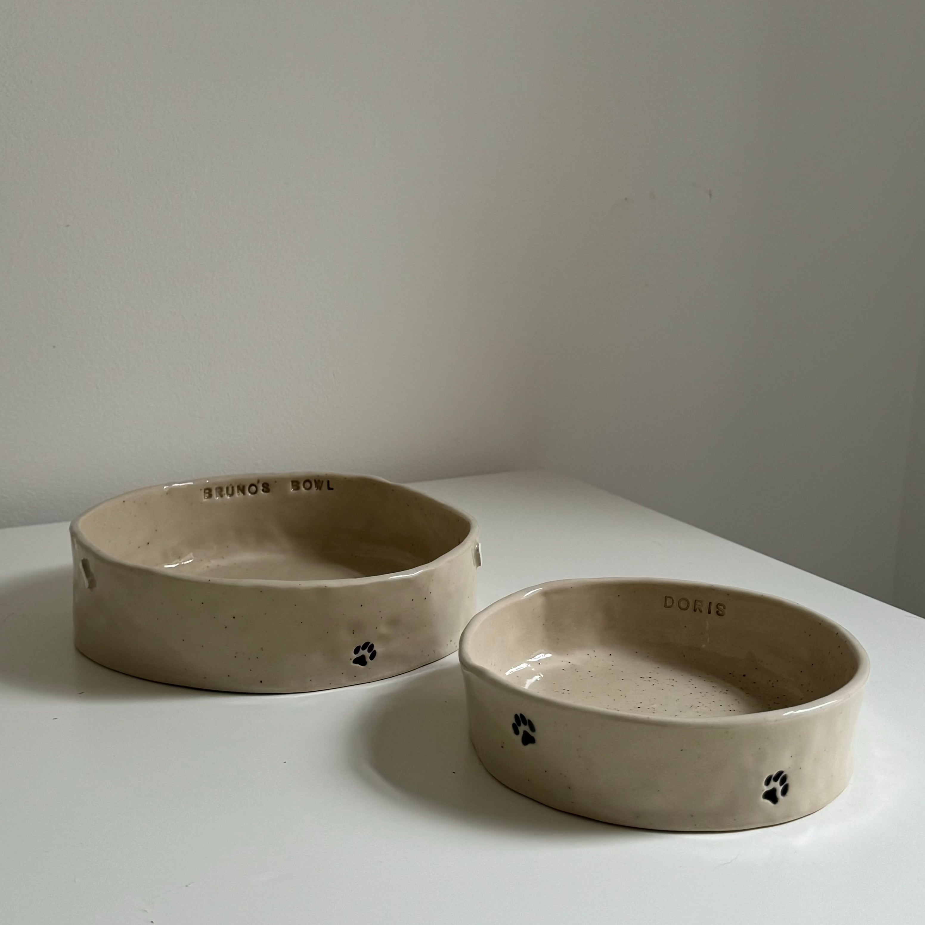 Custom Pet Bowl